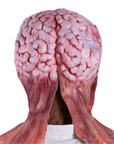 Lick of Death Brain Mask | Full Head Latex Horror Costume for Halloween Cosplay