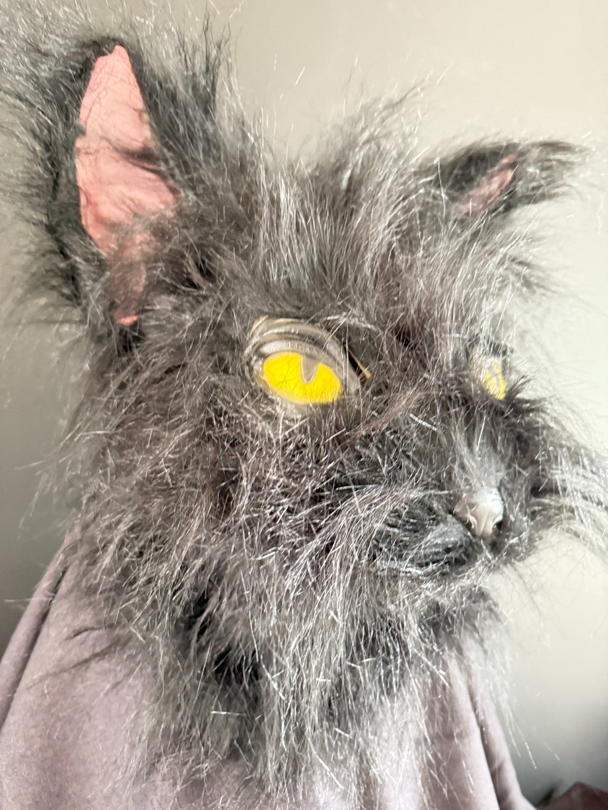 black cat mask cosplay mask latex mask fur mask halloween mask fantasy mask